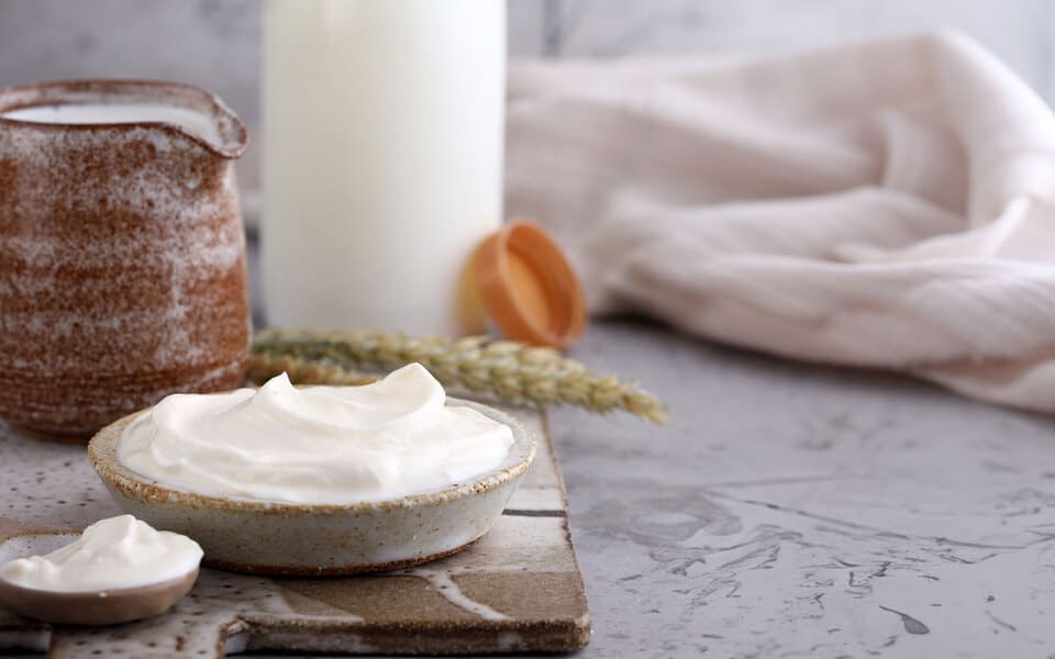 Ποικιλία γαλακτοκομικών προϊόντων