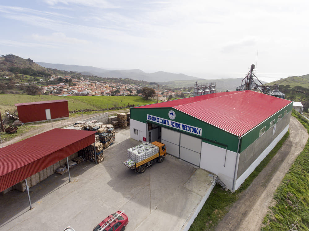 Ράφια με κεφαλοτύρια Λέσβου, παραγωγής του Αγροτικού Συνεταιρισμού Μεσοτόπου