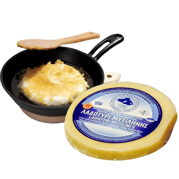 LADOTYRI SAGANAKI_ΛΑΔΟΤΥΡΙ ΣΑΓΑΝΑΚΙ ΣΥΝΕΤΑΙΡΙΣΜΟΥ ΜΕΣΟΤΟΠΟΥ