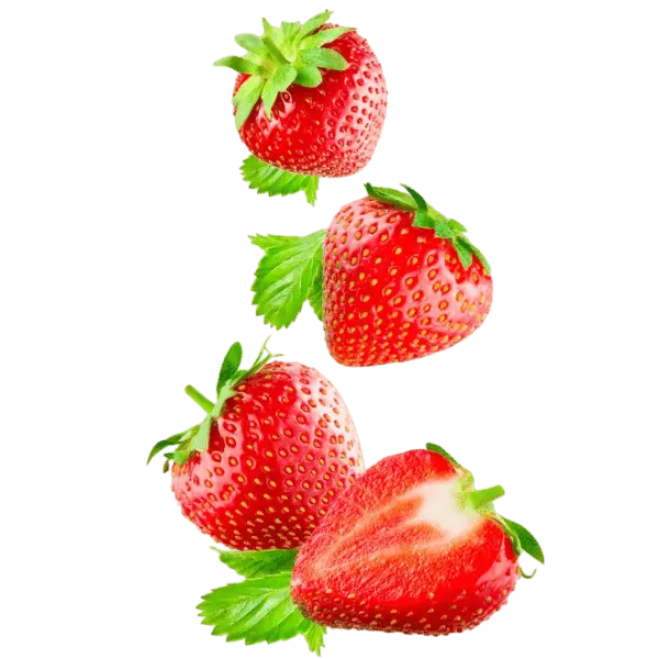 ΠΑΓΩΤΟ ΦΡΑΟΥΛΑ ΑΠΟ ΠΡΟΒΕΙΟ ΓΑΛΑ ΣΥΝΕΤΑΙΡΙΣΜΟΥ ΜΕΣΟΤΟΠΟΥ ΛΕΣΒΟΥ