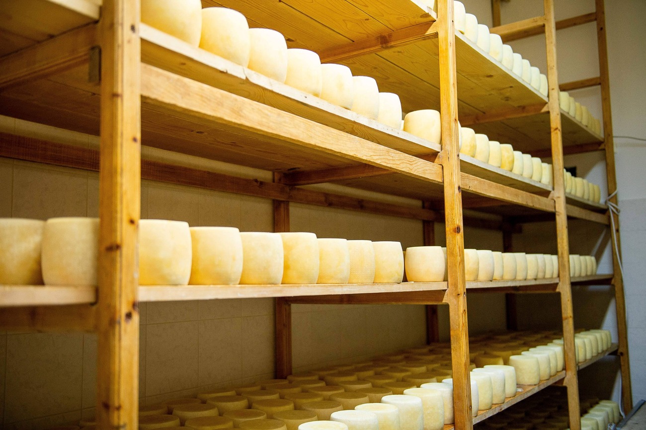 Ράφια με κεφαλοτύρια Λέσβου, παραγωγής του Αγροτικού Συνεταιρισμού Μεσοτόπου