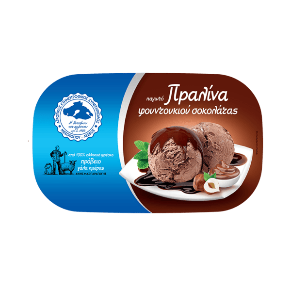 Πραλίνα φουντουκιού παγωτό παραγωγής του Αγροτικού Συνεταιρισμού Μεσοτόπου, οικογενειακό μέγεθος